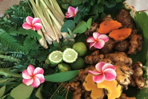 The importance of herbs in Thai natural healthcare